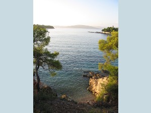 Apartments Maslinica 17