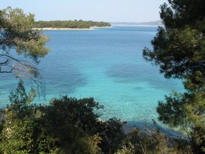 Apartments Maslinica 13